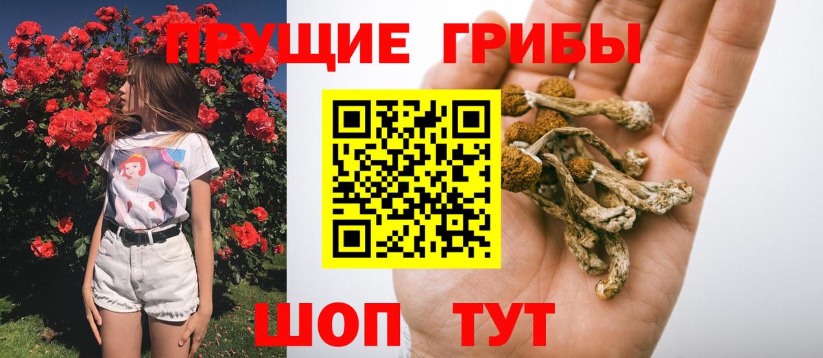 Павловский Посад  Галлюциногенные грибы Psilocybine cubensis  Галлюциногенные грибы Psilocybe  Вход с VPN 