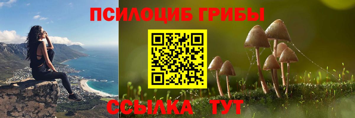 Псилоцибиновые грибы Cubensis Павловский Посад